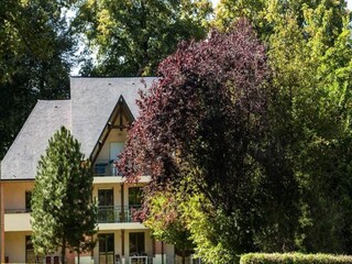 Appartement Honfleur  15