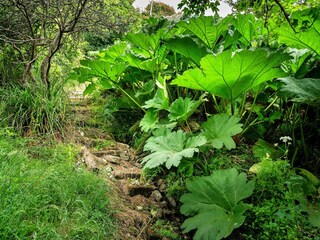 Maison de vacances St. Keverne Enregistrement extérieur 11