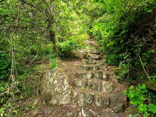 Casa de vacaciones St. Keverne Grabación al aire libre 18