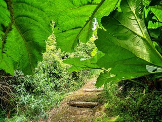 Ferienhaus St. Keverne Außenaufnahme 21
