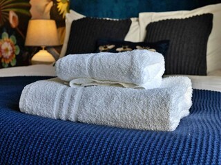 Vakantiehuis Brighton Kenmerken 16