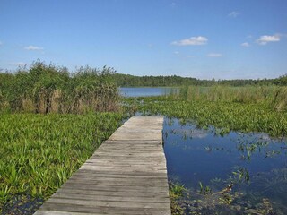 Vakantiepark Wilkasy Omgeving 27