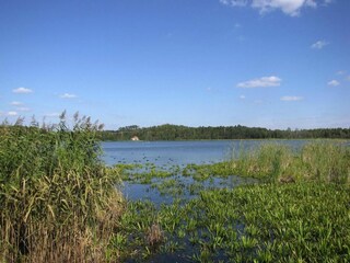 Parc de vacances Wilkasy Environnement 28