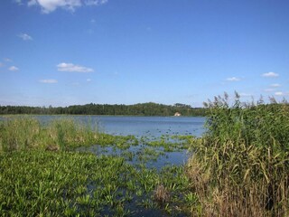 Ferienpark Wilkasy Umgebung 29