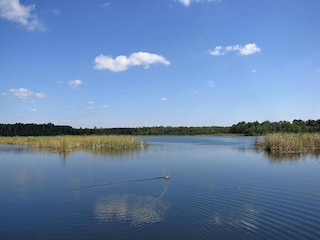 Parc de vacances Wilkasy Environnement 30