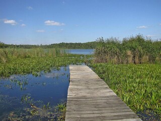 Parc de vacances Wilkasy Environnement 33