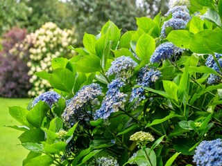 Chalet Boscastle Außenaufnahme 1