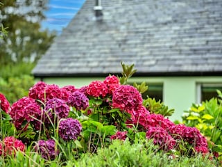 Chalet Boscastle  24