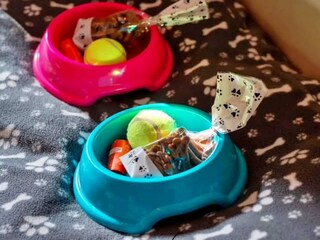 Casa per le vacanze Newquay  44