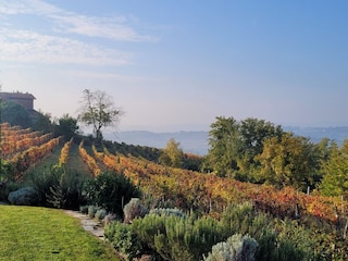 Holiday apartment Nizza Monferrato Environment 7
