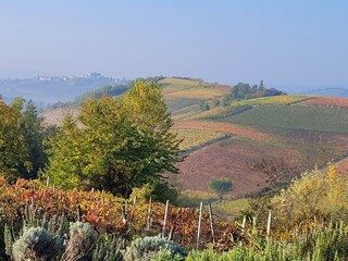 Appartamento per vacanze Nizza Monferrato Ambiente 8