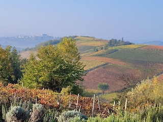 Ferienwohnung Nizza Monferrato Umgebung 8