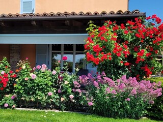Vakantieappartement Nizza Monferrato Buitenaudio-opname 3