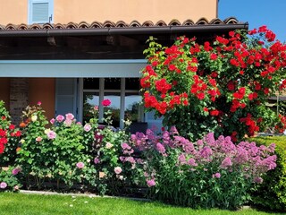 Appartamento per vacanze Nizza Monferrato Registrazione all'aperto 4