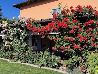 Holiday apartment Nizza Monferrato Environment 3