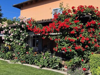 Vakantieappartement Nizza Monferrato Omgeving 3