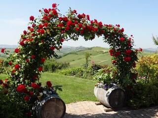 Appartamento per vacanze Nizza Monferrato Registrazione all'aperto 2