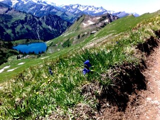 Appartamento per vacanze Wertach Ambiente 38