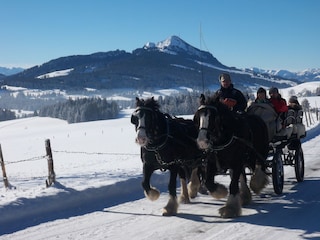 Kutschfahrt um den See