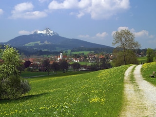 Blick auf Wertach