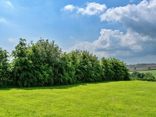 Cottage Liskeard Außenaufnahme 8