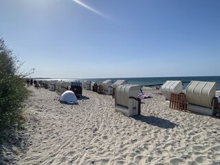 Strandkorb mieten