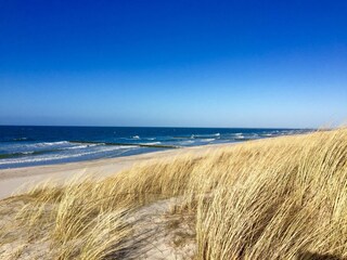 Die Ostsee direkt vor der Türe