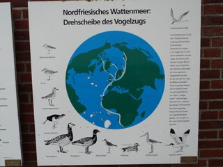 Ferienwohnung Bredstedt Umgebung 17