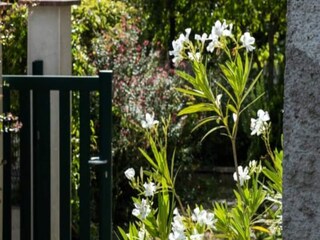 Appartement Saint-Cyr-sur-Loire  2