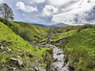 Ferienhaus Dolgellau Außenaufnahme 9