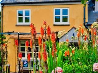 Cottage Coleford Außenaufnahme 3