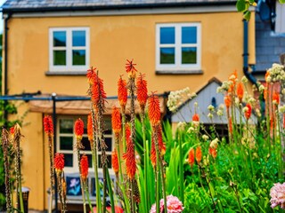 Cottage Coleford Außenaufnahme 6