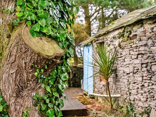 Vakantiehuisje Boscastle  21
