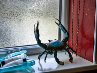 Chalet Camelford  26