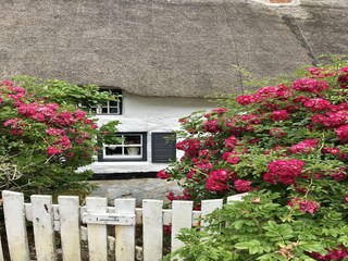 Casa de vacaciones Marazion Grabación al aire libre 7