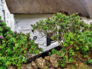 Casa vacanze Marazion Registrazione all'aperto 4