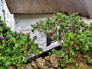 Vakantiehuisje Marazion Buitenaudio-opname 5