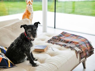 Holiday house Criccieth  40