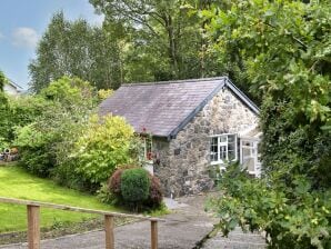 Ferienhaus Hütte in Rowen nahe Fluss & Wanderwege - Afon Conwy - image1