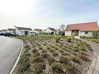 Vakantiehuis Oostduinkerke Omgeving 15
