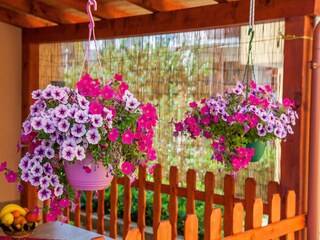 Appartement Stobreč  21