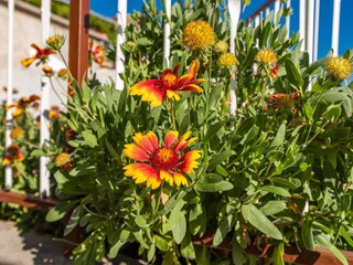 Apartamento Sibenik Grabación al aire libre 4