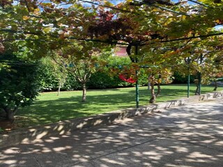 Apartment Brodarica Außenaufnahme 6