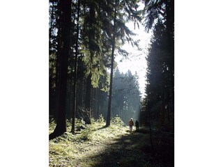 Appartamento per vacanze Artstetten Ambiente 17