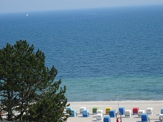 Blick vom Balkon