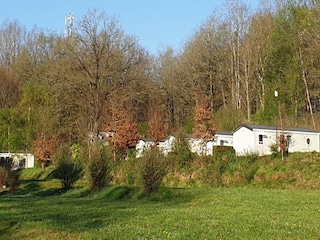 Parc de vacances Viroinval Environnement 15