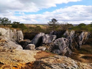 Parc de vacances Viroinval Environnement 26