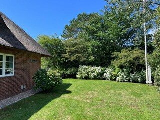 Ferienhaus Kampen Ausstattung 38