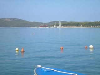 Apartment Brodarica Environment 41