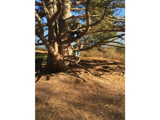 Casa per le vacanze Sint Maartensvlotbrug Ambiente 21